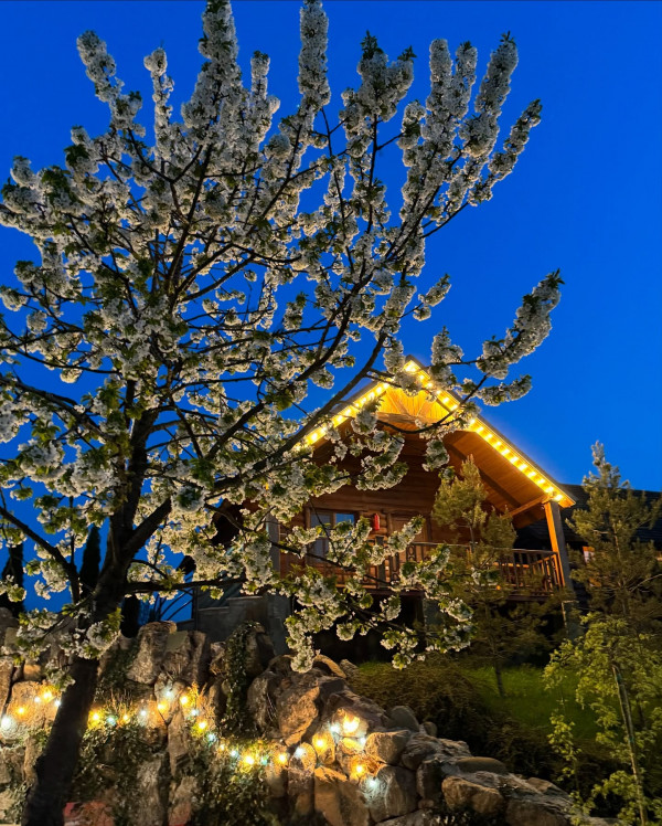 Շուտով կտկսվի փոշոտումը, շտապիր ամրագրել հիմա